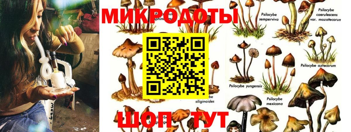Псилоцибиновые грибы мухоморы  Вход с VPN  Советск 