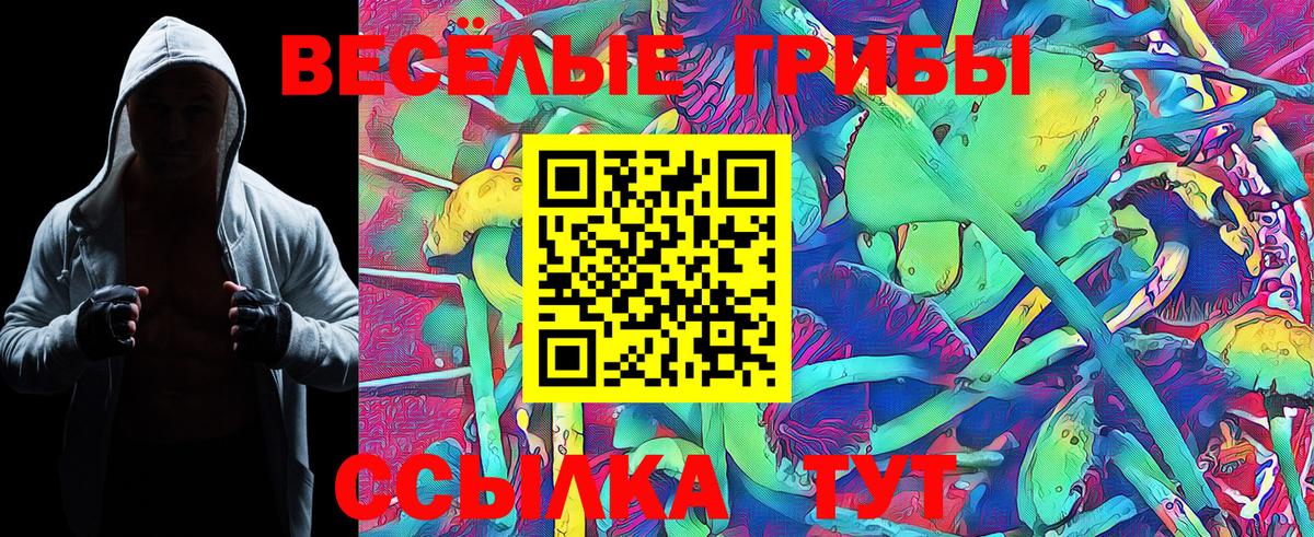 Галлюциногенные грибы Cubensis Советск