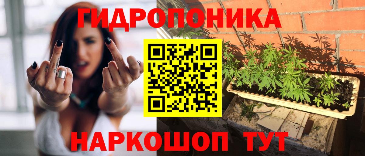 Канабис Bruce Banner Советск